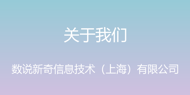 关于我们 - 数说新奇信息技术（上海）有限公司