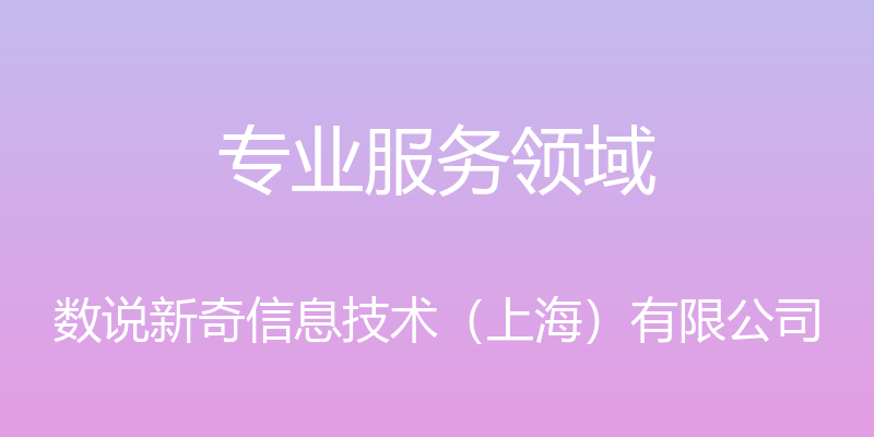 专业服务领域 - 数说新奇信息技术（上海）有限公司