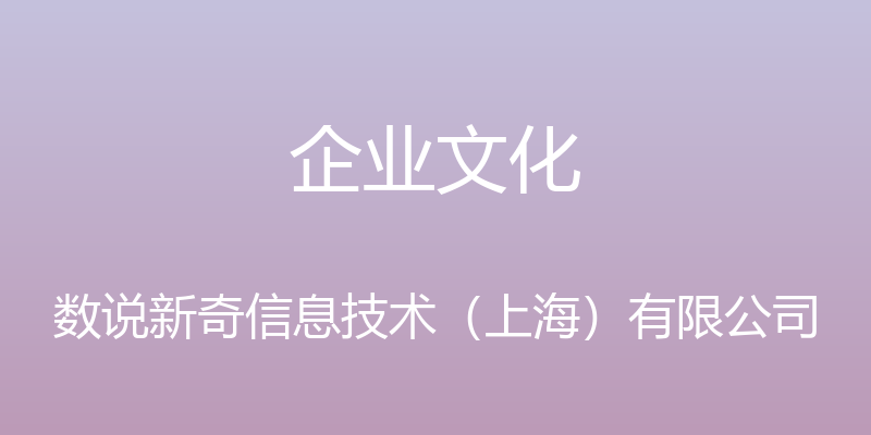 企业文化 - 数说新奇信息技术（上海）有限公司