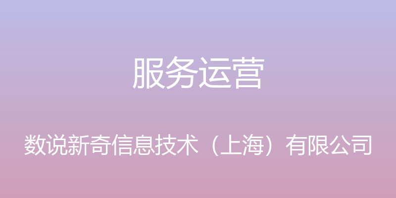 服务运营 - 数说新奇信息技术（上海）有限公司